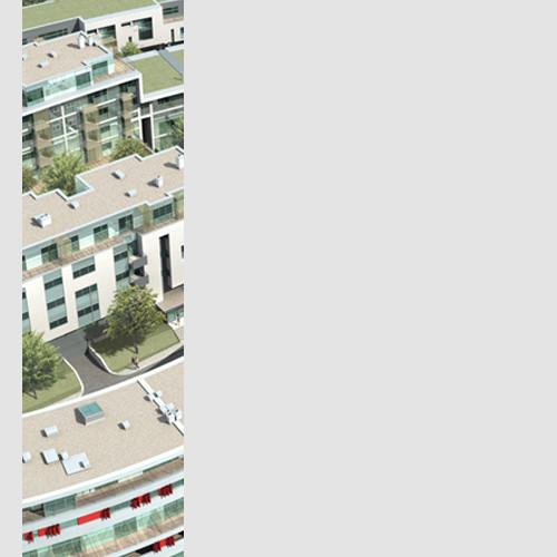 Slanec.Pekná Cesta